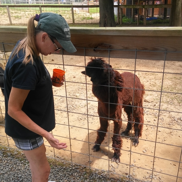 Meet your Posher, Nancy - Picture 3 of 3